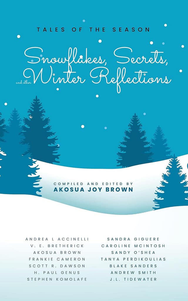 Snowflakes, Secrets, and Other Winter Reflections