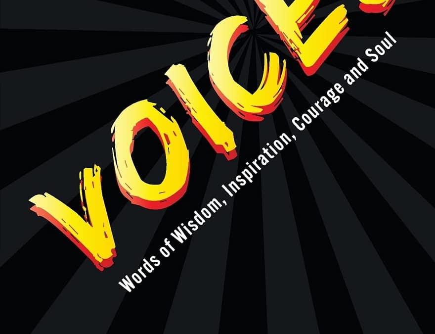 The Soulology Chronicles: Voices
